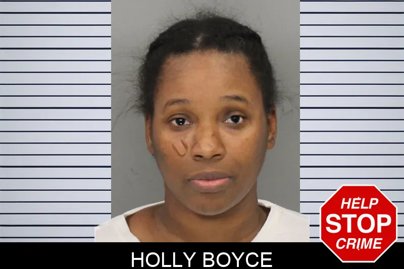 Holly Boyce Mugshots