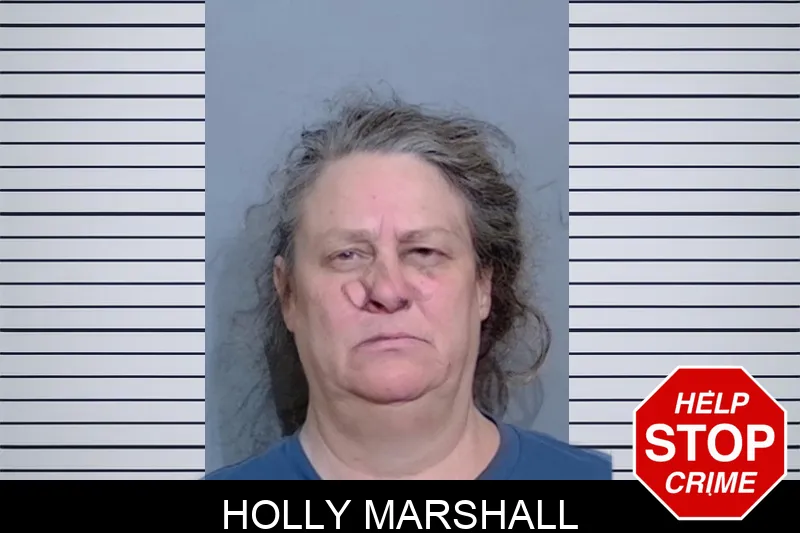 Holly Marshall Mugshots