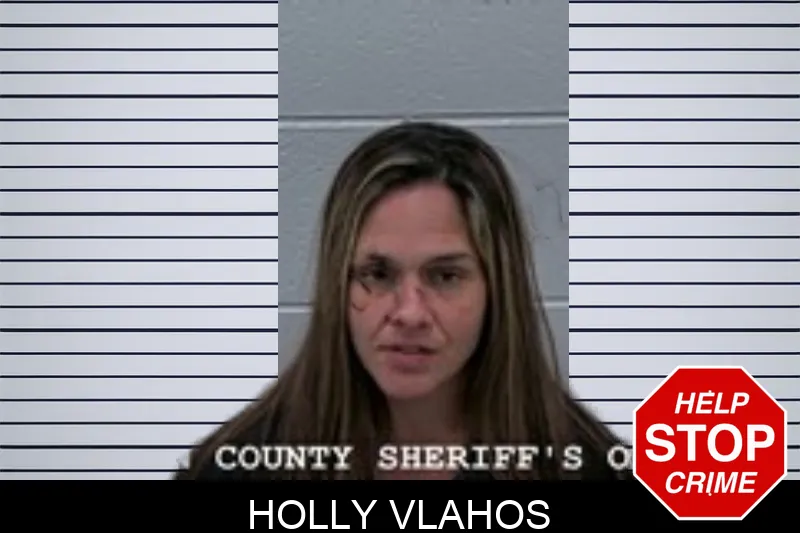 Holly Vlahos Mugshots