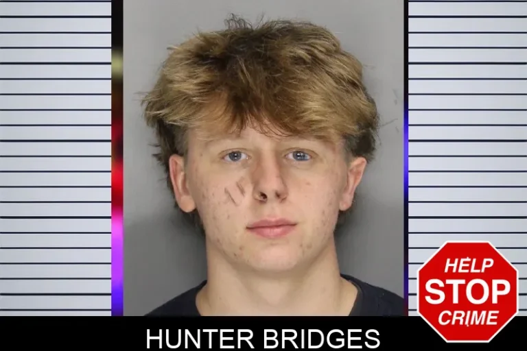 Hunter Bridges