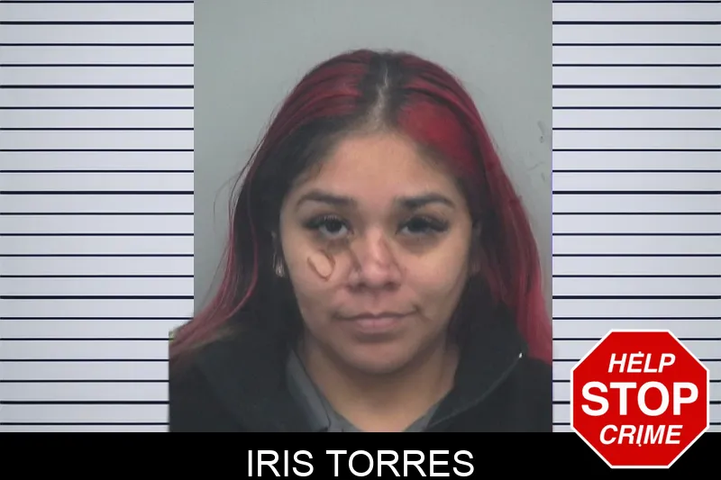Iris Torres Mugshots