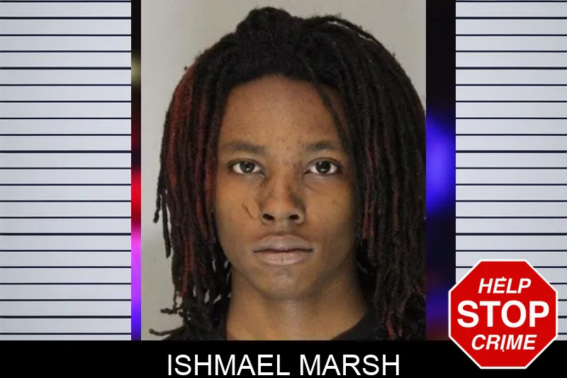 Ishmael Marsh mugshot – Hall County , Georgia Ishmael Marsh mugshot