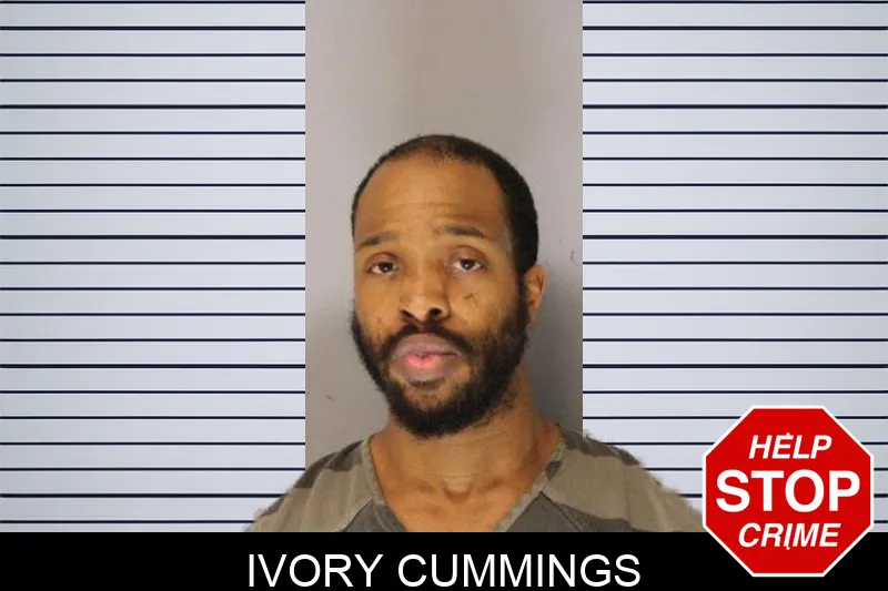 Ivory Cummings mugshot – Hall County , Georgia Ivory Cummings mugshot