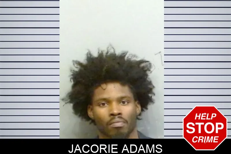Jacorie Adams mugshot – Fulton County , Georgia Jacorie Adams mugshot
