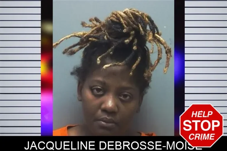 Jacqueline Debrosse-Moise mugshot – Cherokee County , Georgia Jacqueline Debrosse-Moise