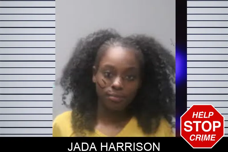 Jada Harrison Mugshots