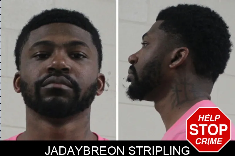Jadaybreon Stripling