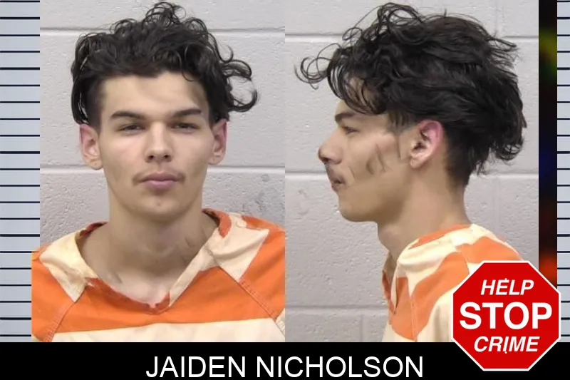 Jaiden Nicholson Mugshots