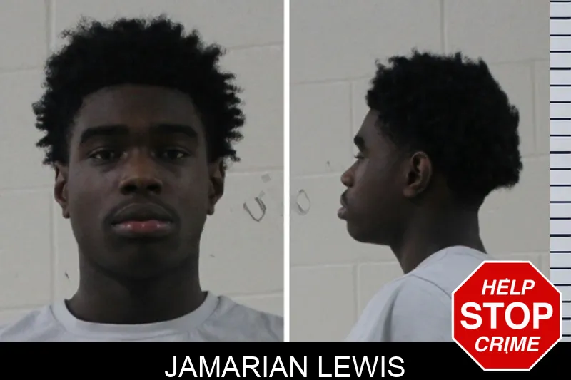 Jamarian Lewis mugshot