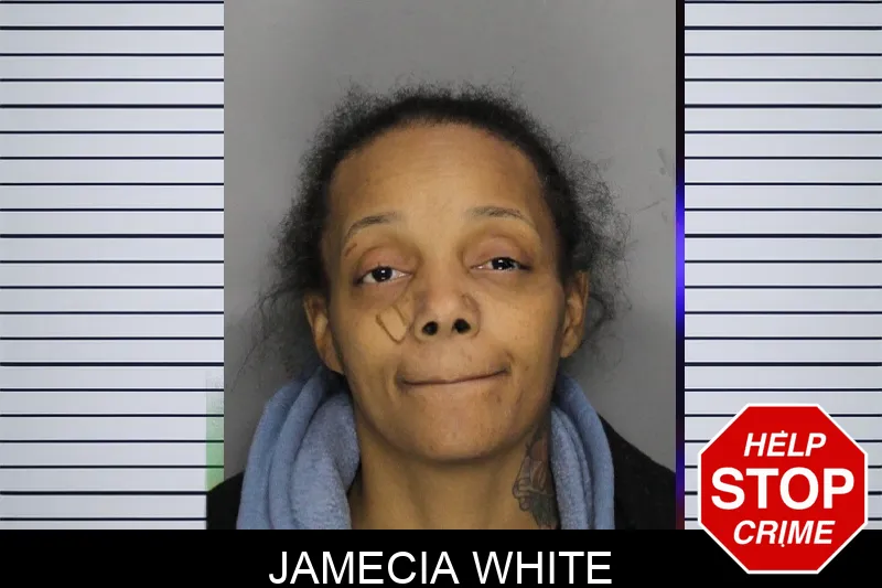 Jamecia White Mugshots