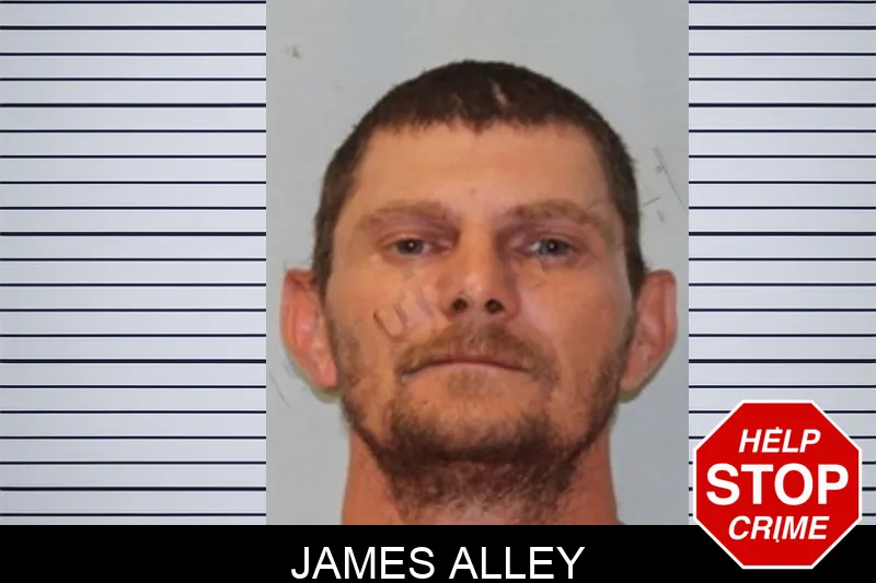 James Alley Mugshots