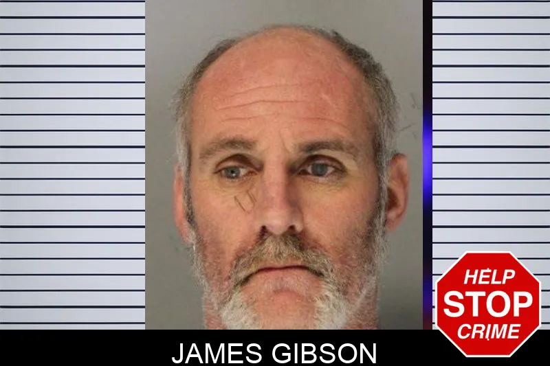James Gibson mugshot