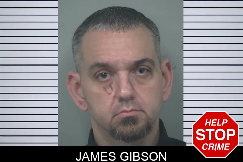 James Gibson mugshot – Gwinnett County , Georgia James Gibson mugshot
