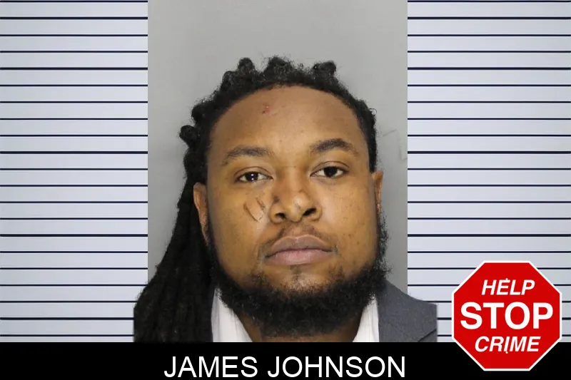 James Johnson Mugshots