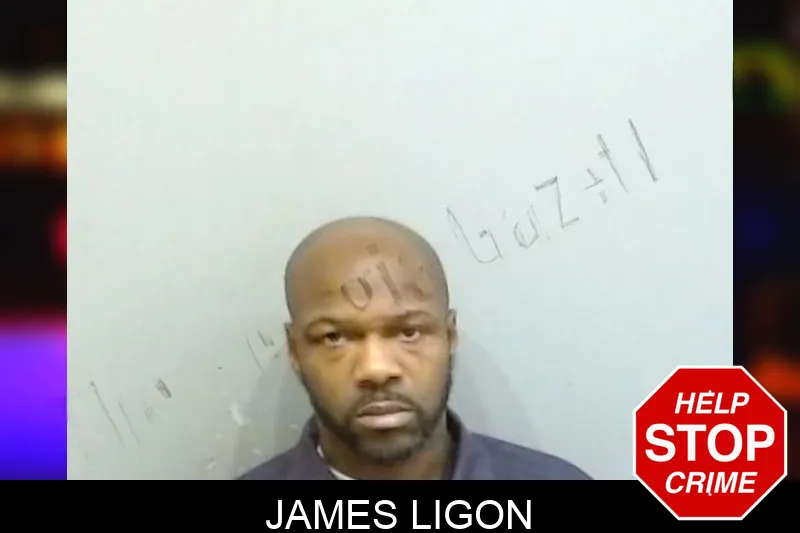 James Ligon mugshot – Fulton County , Georgia James Ligon mugshot