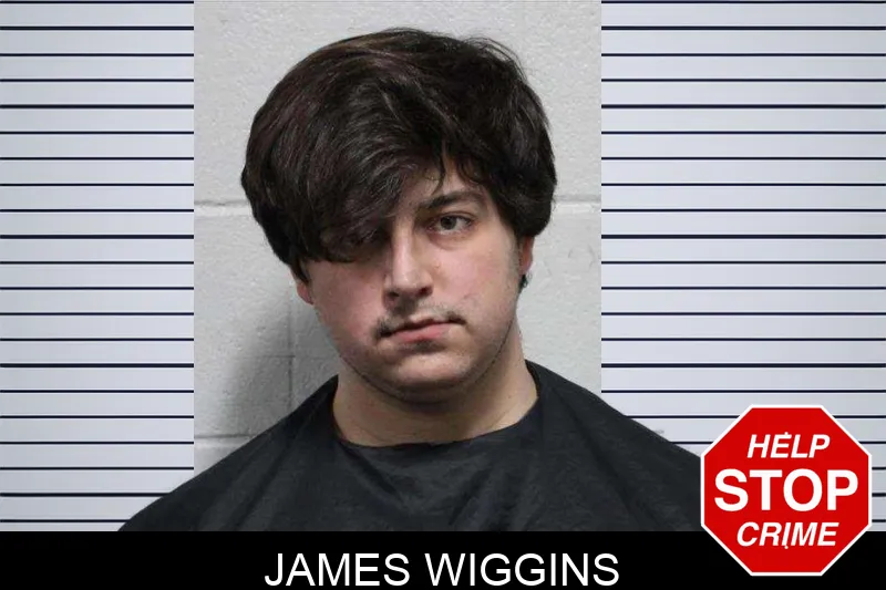 James Wiggins Mugshots