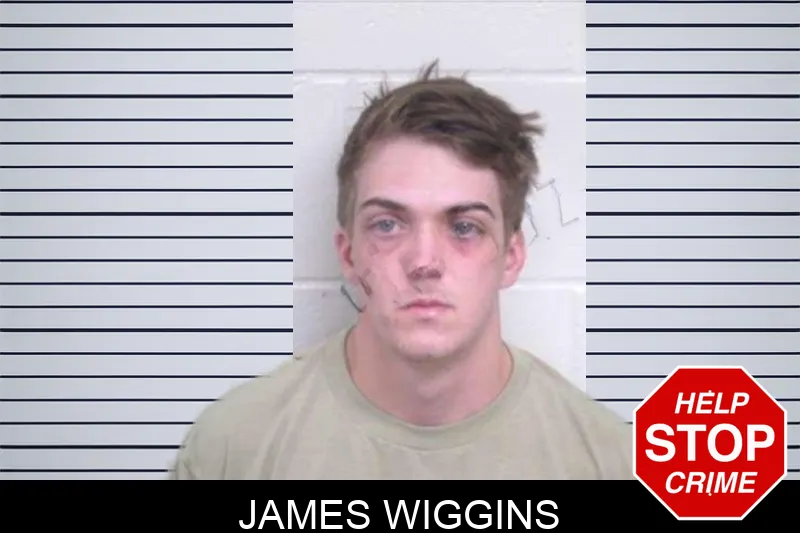 James Wiggins Mugshots