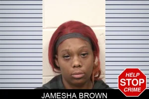 Jamesha Brown mugshot