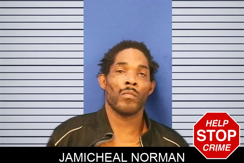 Jamicheal Norman Mugshots