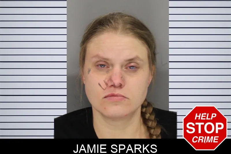 Jamie Sparks mugshot