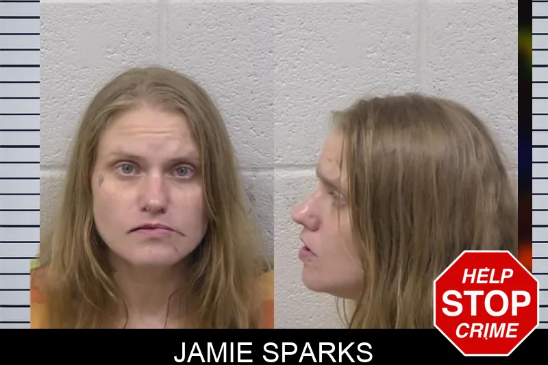 Jamie Sparks Mugshots