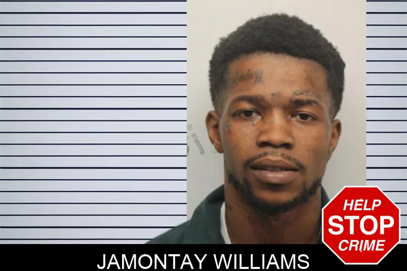 Jamontay Williams mugshot