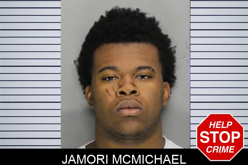 Jamori McMichael Mugshots