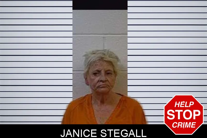 Janice Stegall Mugshots