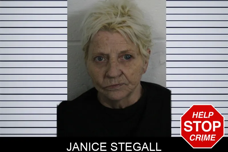 Janice Stegall Mugshots