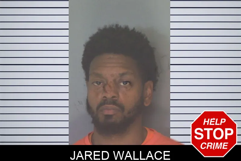 Jared Wallace Mugshots