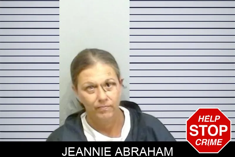 Jeannie Abraham Mugshots