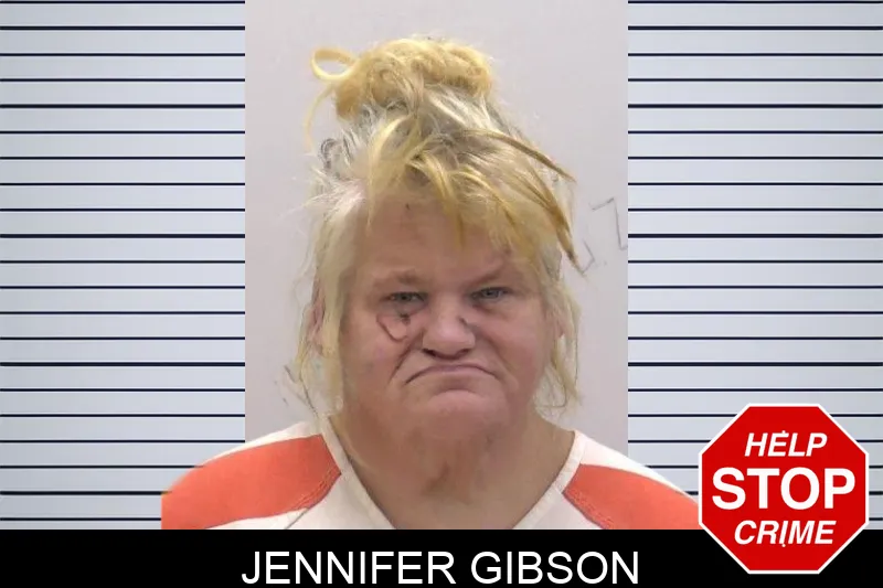 Jennifer Gibson Mugshots