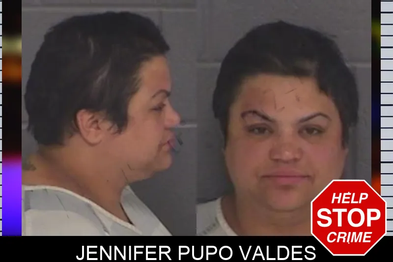 Jennifer Pupo Valdes Mugshots