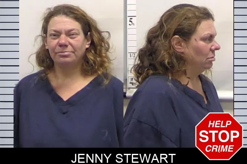 Jenny Stewart Mugshots