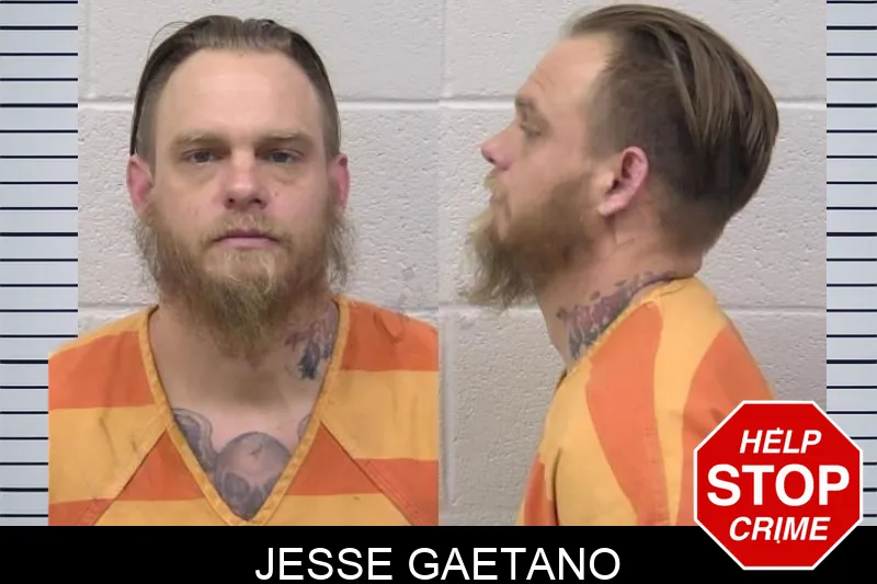 Jesse Gaetano Mugshots