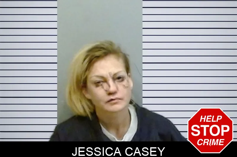 Jessica Casey mugshot – Fulton County , Georgia Jessica Casey mugshot