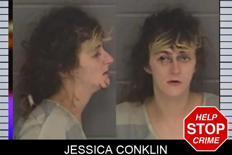 Jessica Conklin Mugshots
