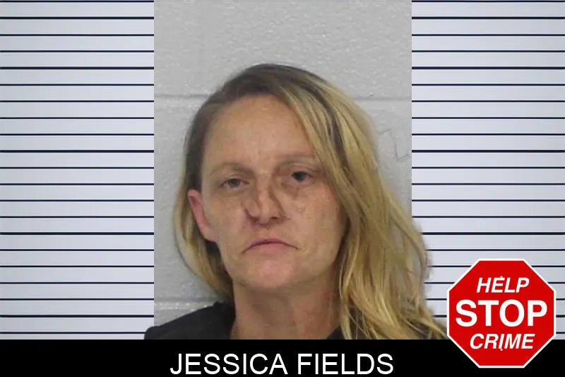 Jessica Fields Mugshots