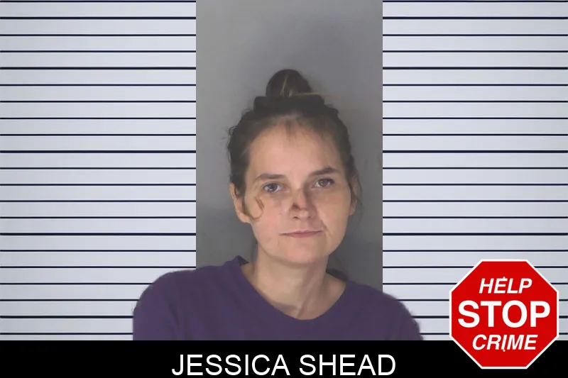 Jessica Shead mugshot – Douglas County , Georgia Jessica Shead mugshot