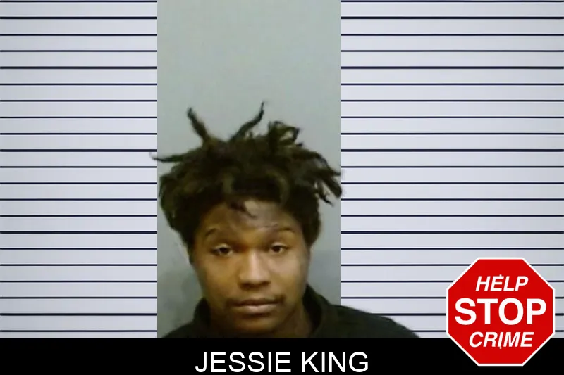 Jessie King mugshot