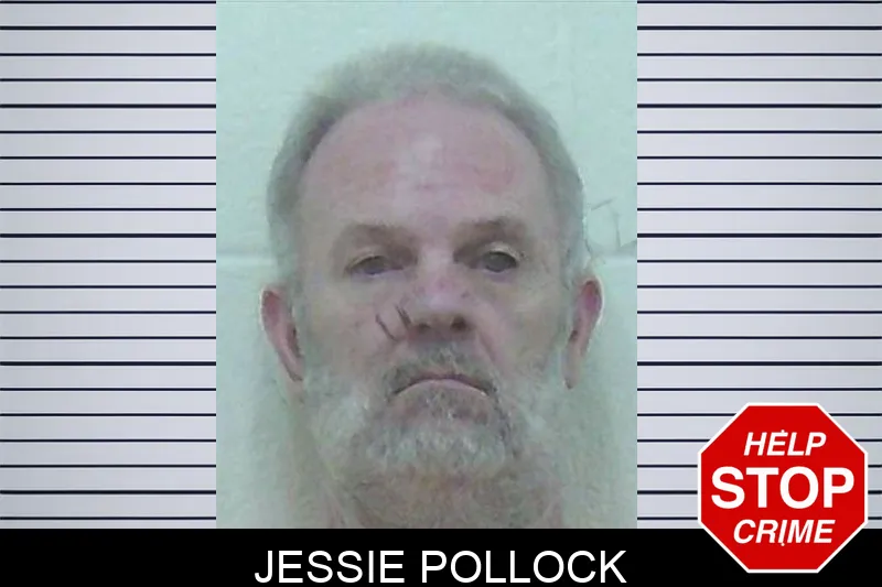Jessie Pollock Mugshots