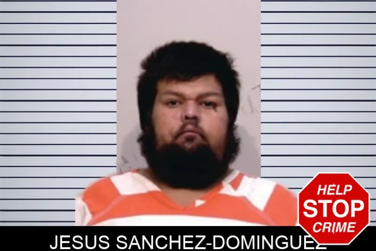 Jesus Sanchez-Dominguez