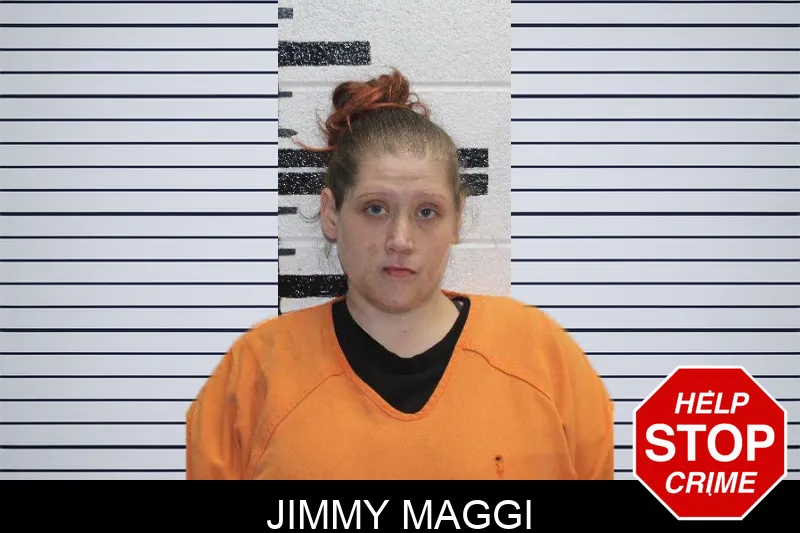 Jimmy Maggi Mugshots