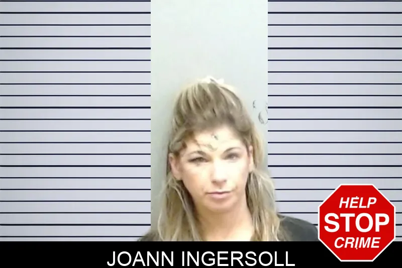 Joann Ingersoll mugshot