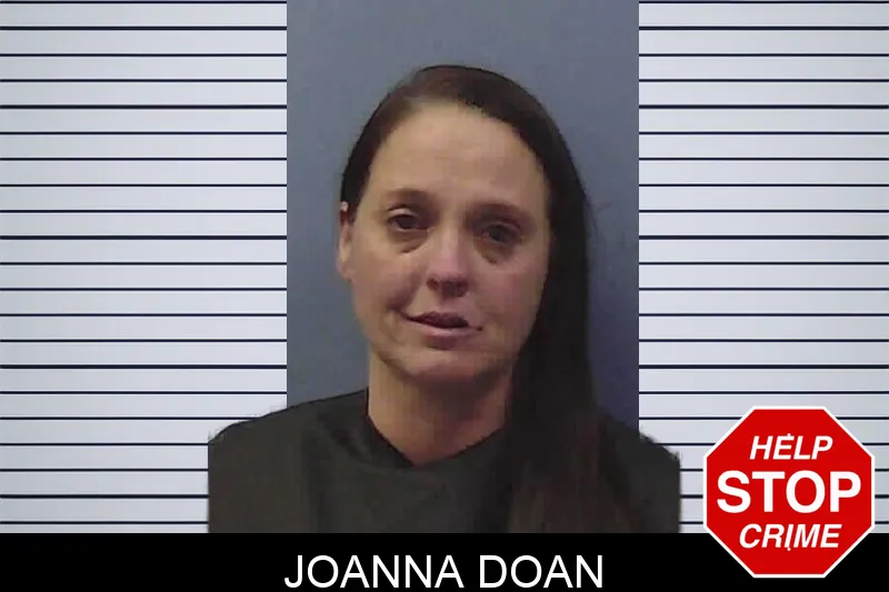 Joanna Doan Mugshots