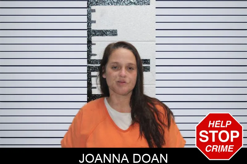 Joanna Doan Mugshots