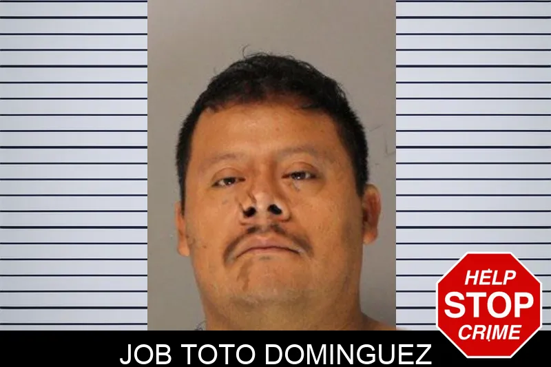 Job Toto Dominguez mugshot