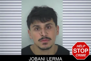 Jobani Lerma mugshot