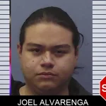 Joel Alvarenga Mugshots