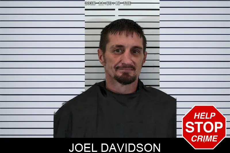 Joel Davidson Mugshots